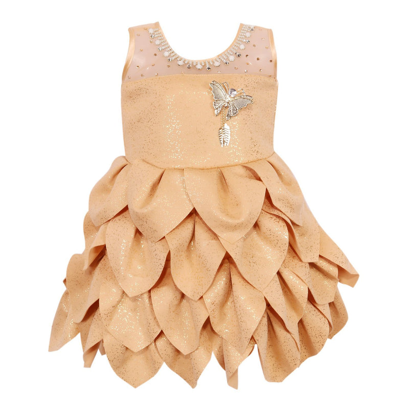 Baby Girls Party Wear Frock Dress Fe2441bg -  Wish Karo Dresses