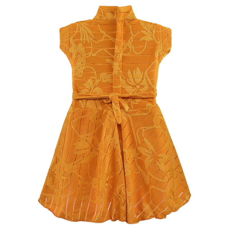 Wish Karo Baby Girls Partywear Frocks Dress For Girls (fm08y)